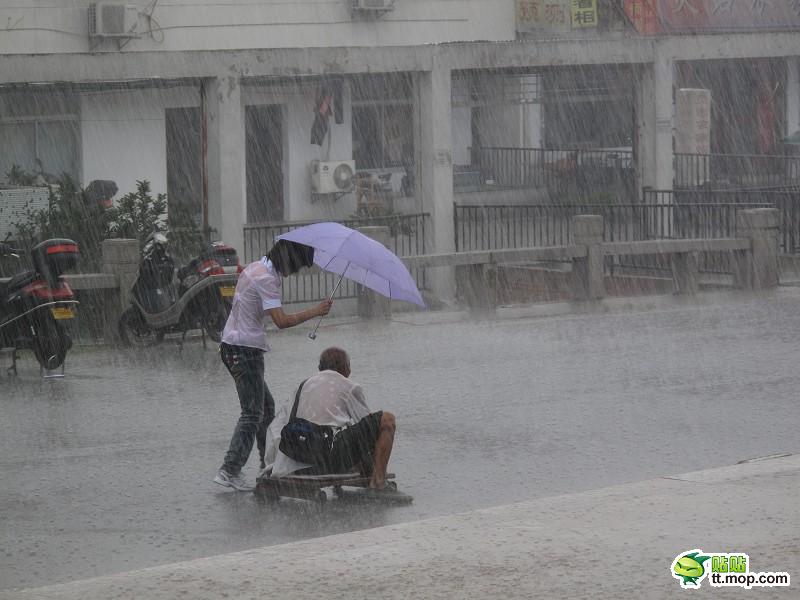 苏州最美女孩暴雨中为残疾乞丐撑伞