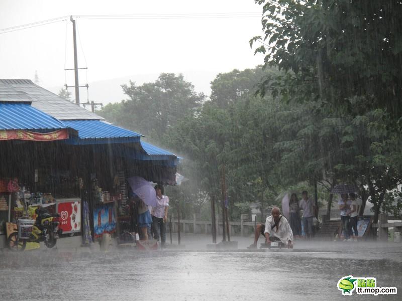 苏州最美女孩暴雨中为残疾乞丐撑伞